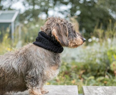 DACHSHUND TURTLENECK SCARF | WOOL | BLACK 