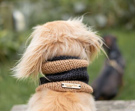 DACHSHUND TURTLENECK SCARF | WOOL | BEIGE STRIPED