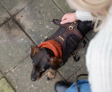 DACHSHUND TURTLENECK SCARF | WOOL | RUSTY ORANGE