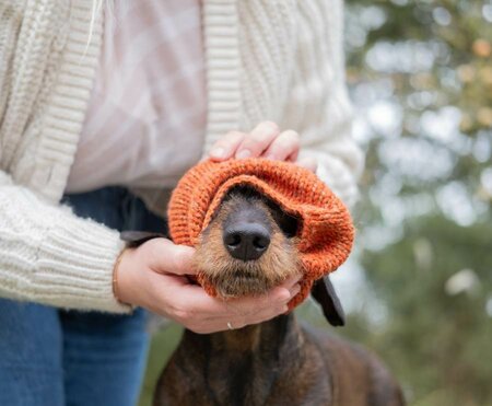 DACHSHUND TURTLENECK SCARF | WOOL | RUSTY ORANGE