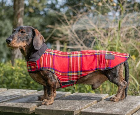 DACHSHUND FLEECE COAT| FLEECE LINED | TARTAN RED 