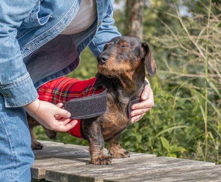 DACHSHUND FLEECE COAT| FLEECE LINED | TARTAN RED 