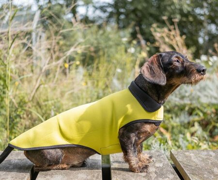 DACHSHUND RAINCOAT | NEOPRENE | YELLOW