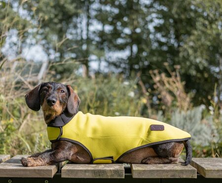 DACHSHUND RAINCOAT | NEOPRENE | YELLOW