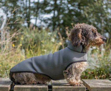 DACHSHUND RAINCOAT | NEOPRENE | GREY