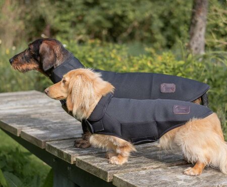 DACHSHUND RAINCOAT | NEOPRENE | BLACK