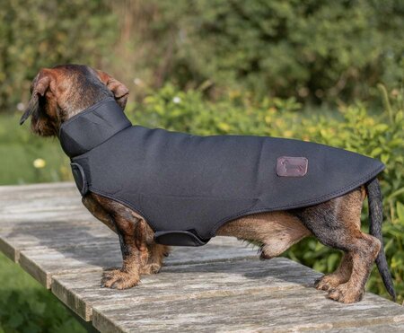 DACHSHUND RAINCOAT | NEOPRENE | BLACK