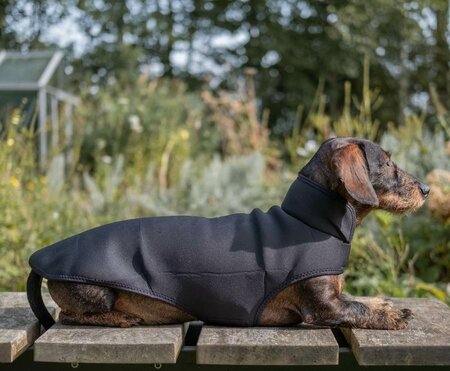 DACHSHUND RAINCOAT | NEOPRENE | BLACK