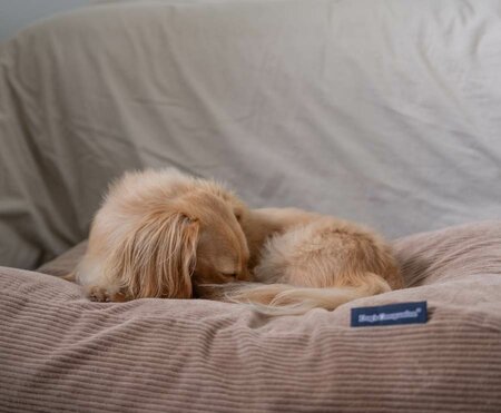 LICHAAMSVORMEND HONDENBED | BEIGE RIBCORD