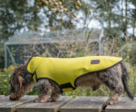 TECKEL WINTERJAS | NEOPREEN | GEEL