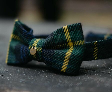 VLINDERDAS MET HALSBAND | VOOR HOND EN BAAS | GROEN BLAUW