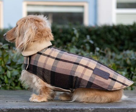 TECKEL WINTERJAS | WOL | BEIGE GERUIT