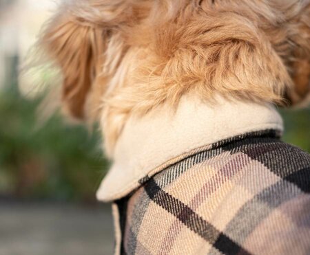 TECKEL WINTERJAS | WOL | BEIGE GERUIT