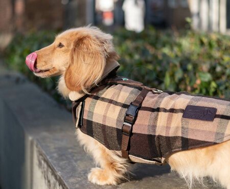 TECKEL WINTERJAS | WOL | BEIGE GERUIT