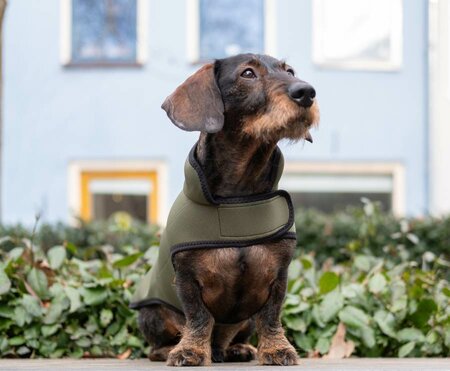 TECKEL REGENJAS | NEOPREEN | GROEN