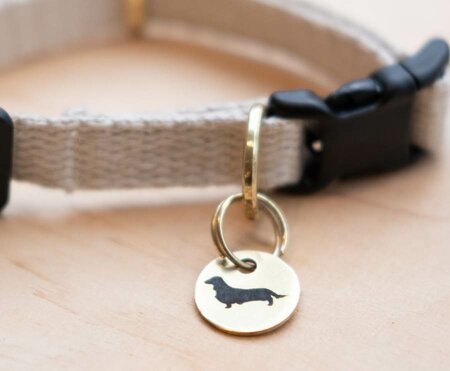 TECKEL CHARM | BEDEL