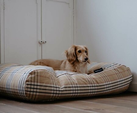 BODY SHAPING DOGBED | BURBERRY