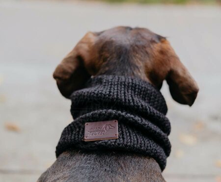 DACHSHUND TURTLENECK SCARF | BLACK 