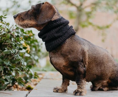 DACHSHUND TURTLENECK SCARF | BLACK 