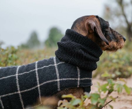 DACHSHUND TURTLENECK SCARF | BLACK 