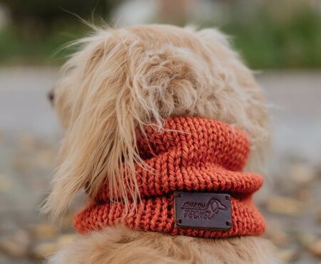 DACHSHUND TURTLENECK SCARF | RUST ORANGE