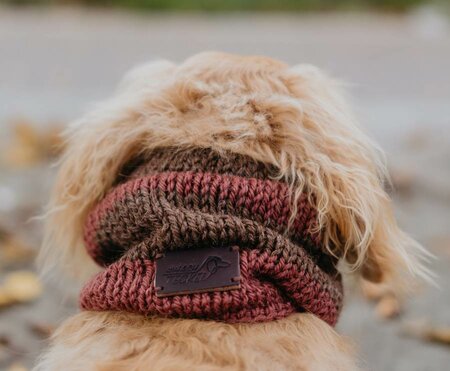 DACHSHUND TURTLENECK SCARF | RED CLAY AND BROWN