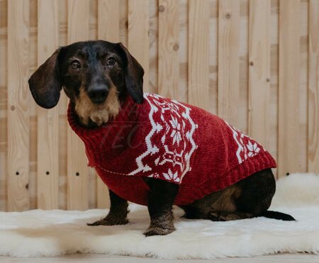 TECKEL KERSTTRUI | ROOD