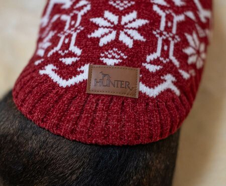 TECKEL KERSTTRUI | ROOD