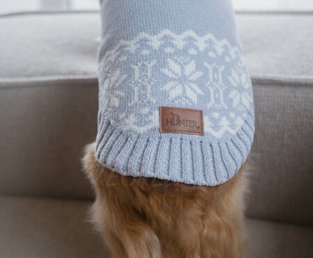 TECKEL KERSTTRUI | GRIJSBLAUW