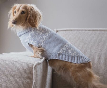 TECKEL KERSTTRUI | GRIJSBLAUW