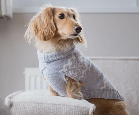 TECKEL KERSTTRUI | GRIJSBLAUW