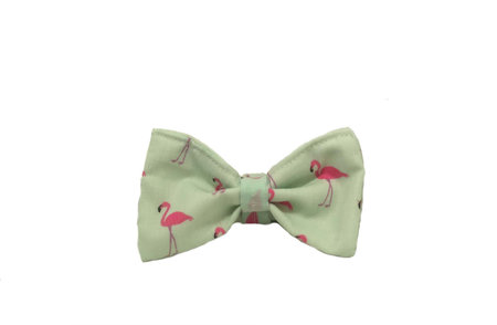 VLINDERDAS | FLAMINGO
