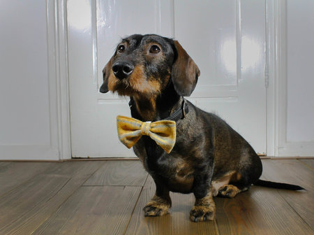 VLINDERDAS | TWEED & TARTAN GEEL