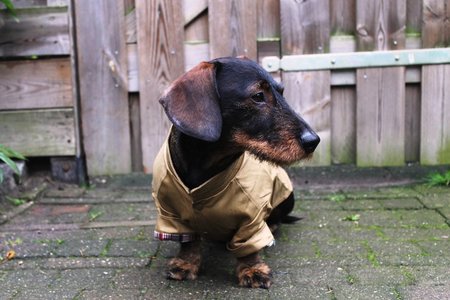 TECKEL JAS | TRENCHCOAT KHAKI