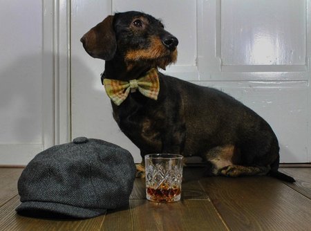 VLINDERDAS | TWEED & TARTAN BEIGE / GROEN