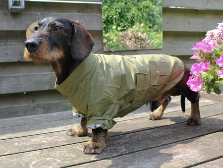 TECKEL JAS | TRENCHCOAT GROEN