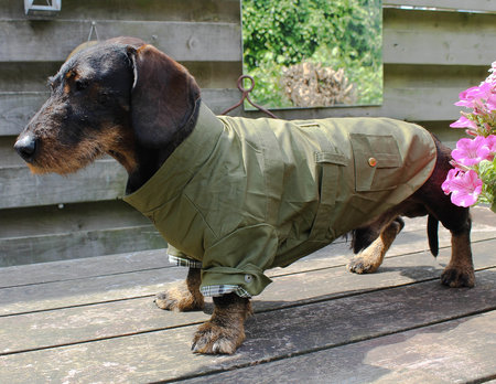 TECKEL JAS | TRENCHCOAT GROEN