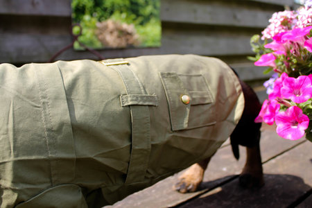 TECKEL JAS | TRENCHCOAT GROEN