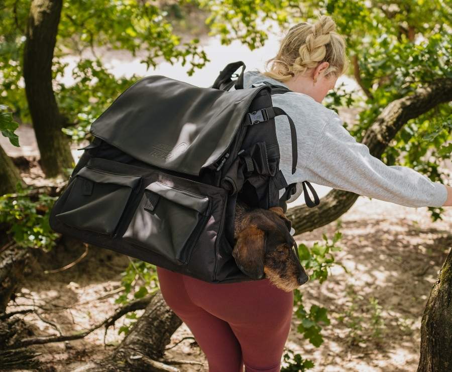 Wolf & Bear Backpack guide