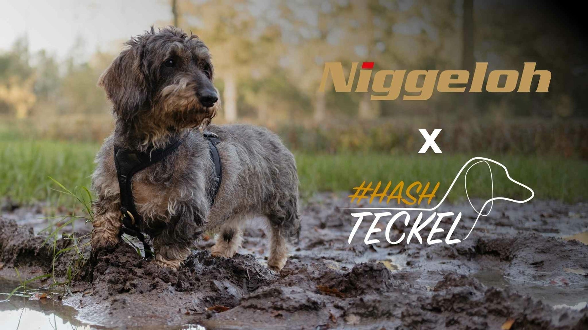 Wat je moet weten over de Niggeloh x Hashteckel tuigjes collectie