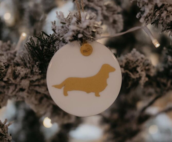 Hanger van een Teckel