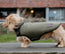 Teckel jas met fleece
