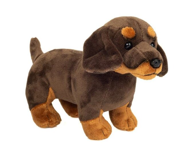 Teckel knuffel korthaar