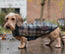 Teckel fleece jas